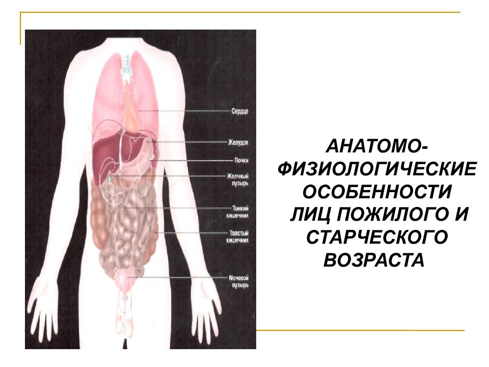 Афо лиц пожилого и старческого возраста презентация