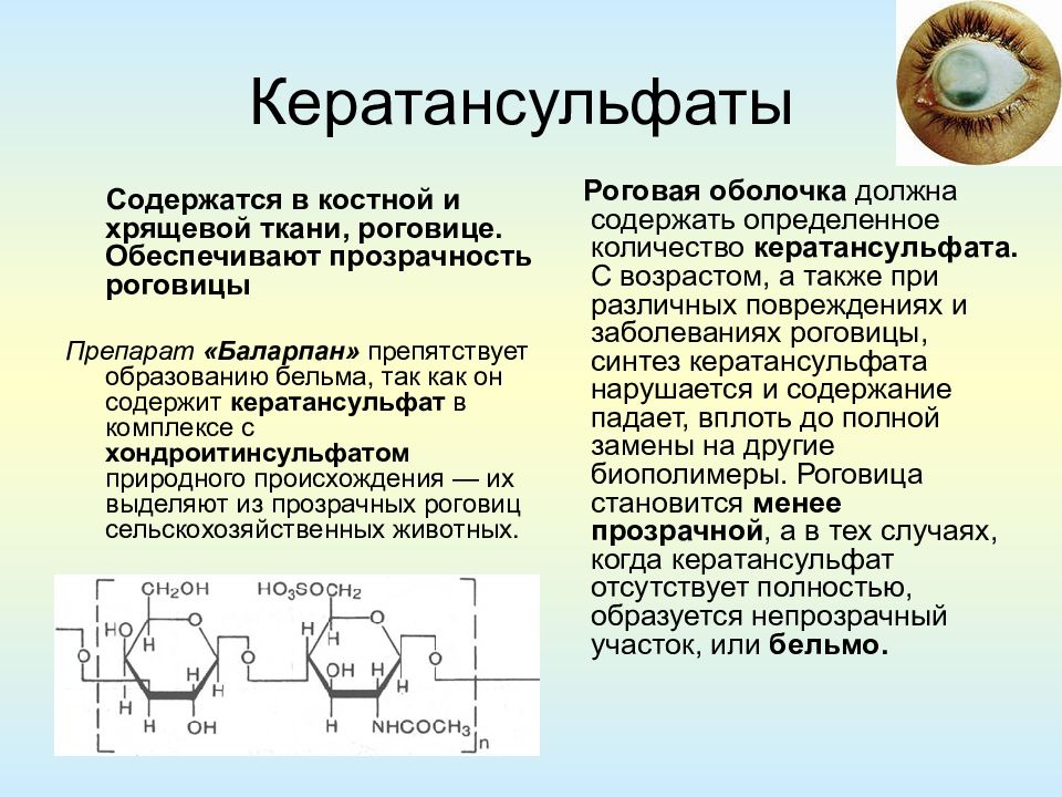 Полисахариды биохимия презентация