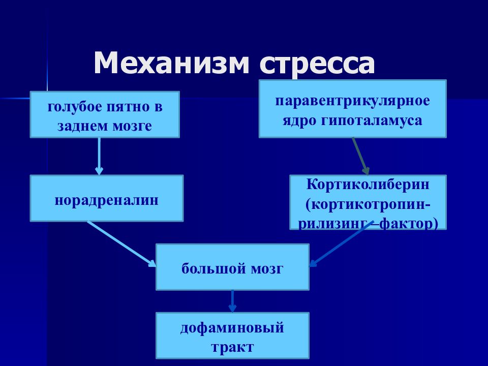 Механизм стресса. Кортикотропин рилизинг фактор препараты. Каковы механизмы стрессорных повреждений?. Кортикотропинрелизиг фактор. Кортиколиберин и стресс.