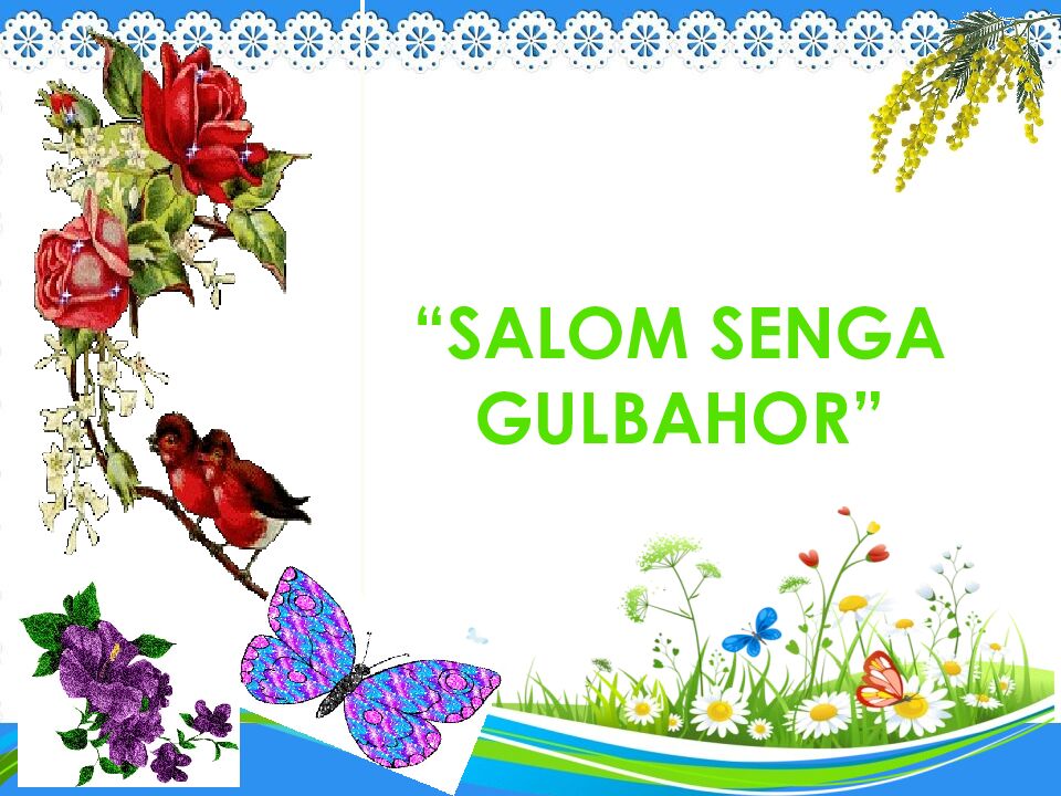 SALOM SENGA GULBAHOR”
