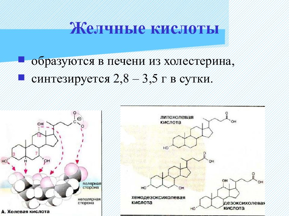 Соли Желчных Кислот Купить В Аптеке