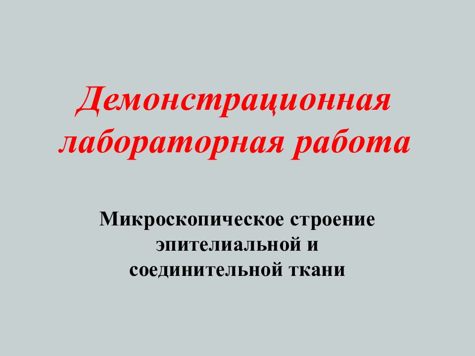 Демонстрационная лабораторная работа