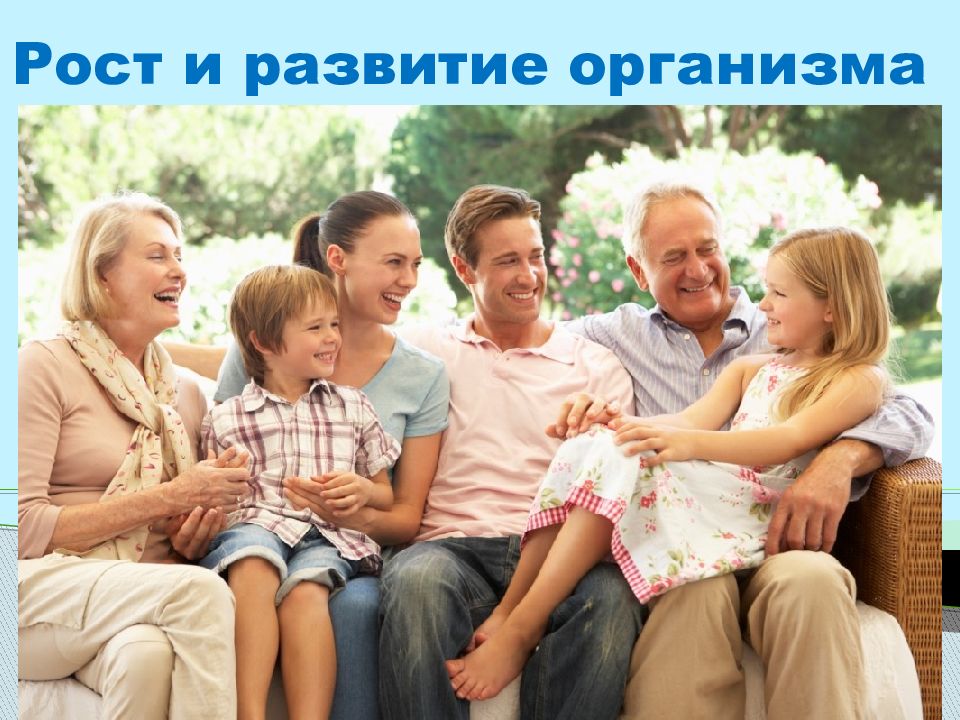 Рост и развитие организма