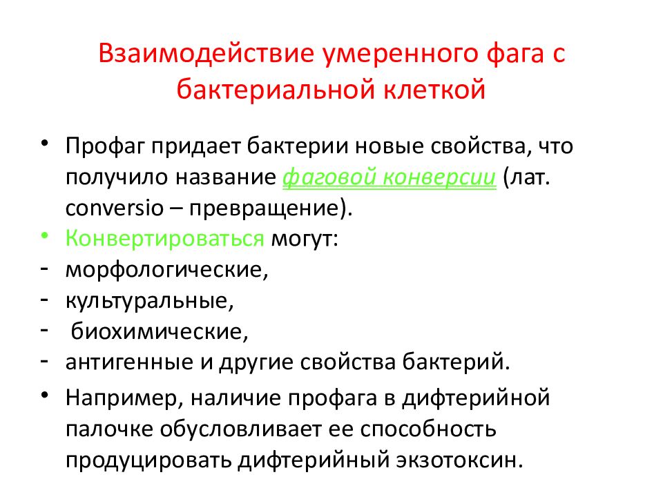 взаимодействие бактериофага с бактерией