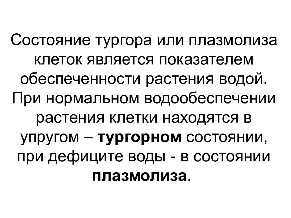 Тургор клетки растения. Состояние тургора. Тургор клетки. Тургор клетки это в биологии. Тургор и плазмолиз.