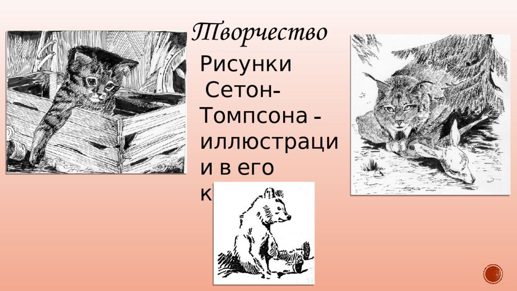 В гостях у сетон томпсона. Сетон Томпсон Виннипегский волк. Э Сетон Томпсон иллюстрации. Бинго иллюстрация Сетон Томпсон. Бинго рассказ Сетона Томпсона рисунок.