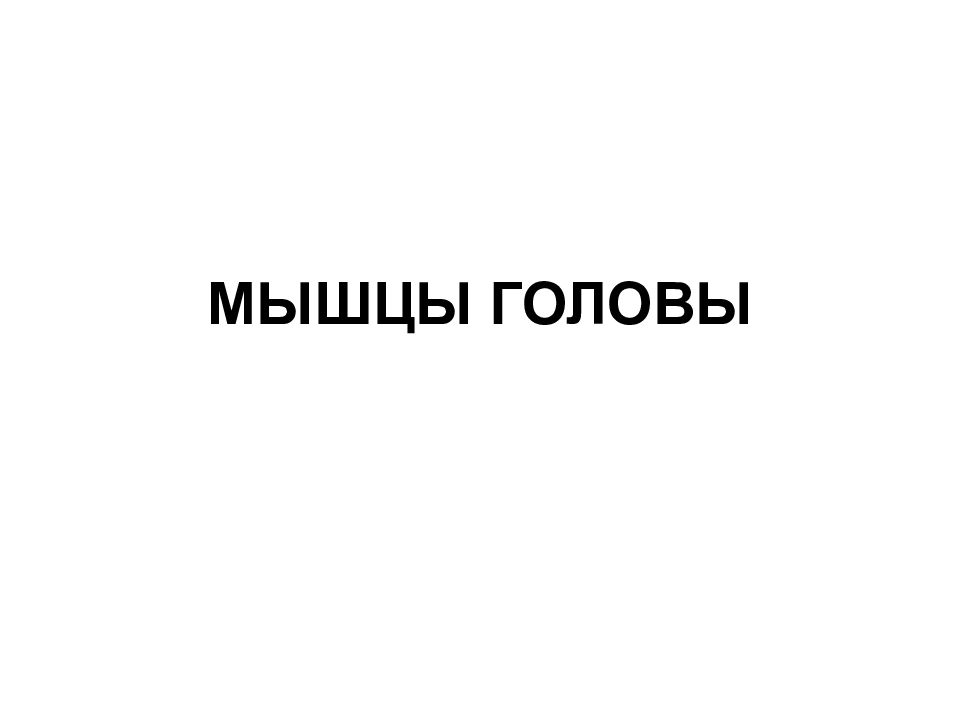 МЫШЦЫ ГОЛОВЫ