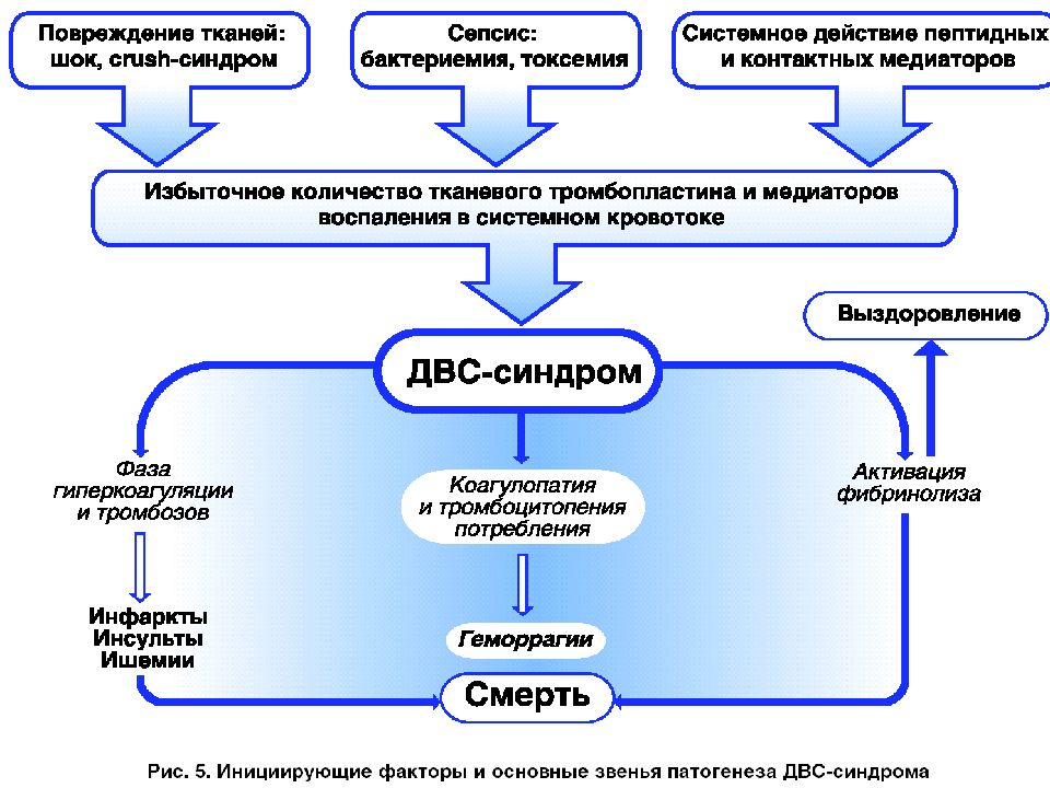 Двс синдром у детей презентация