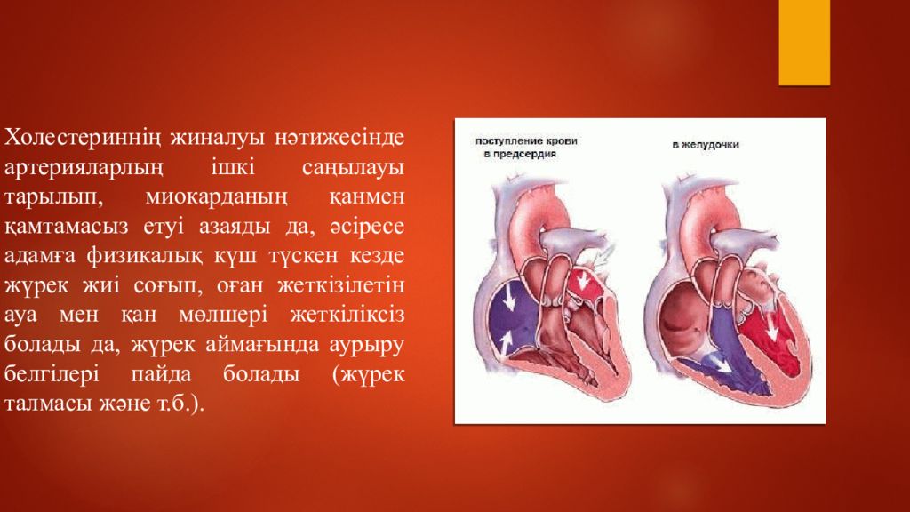 Журек трек. Жүрек физиологиясы презентация. Высокая глубина система журек. Осумдуктун физиологиясы Дербишова.