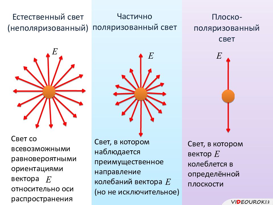 Поляризованный свет