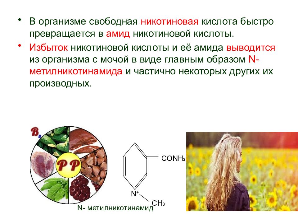 Свободный организм. Никотиновая кислота и ее амид. Никотиновая кислота в организме человека. Калид никотиновой кислоты. Роль никотиновой кислоты в организме человека.