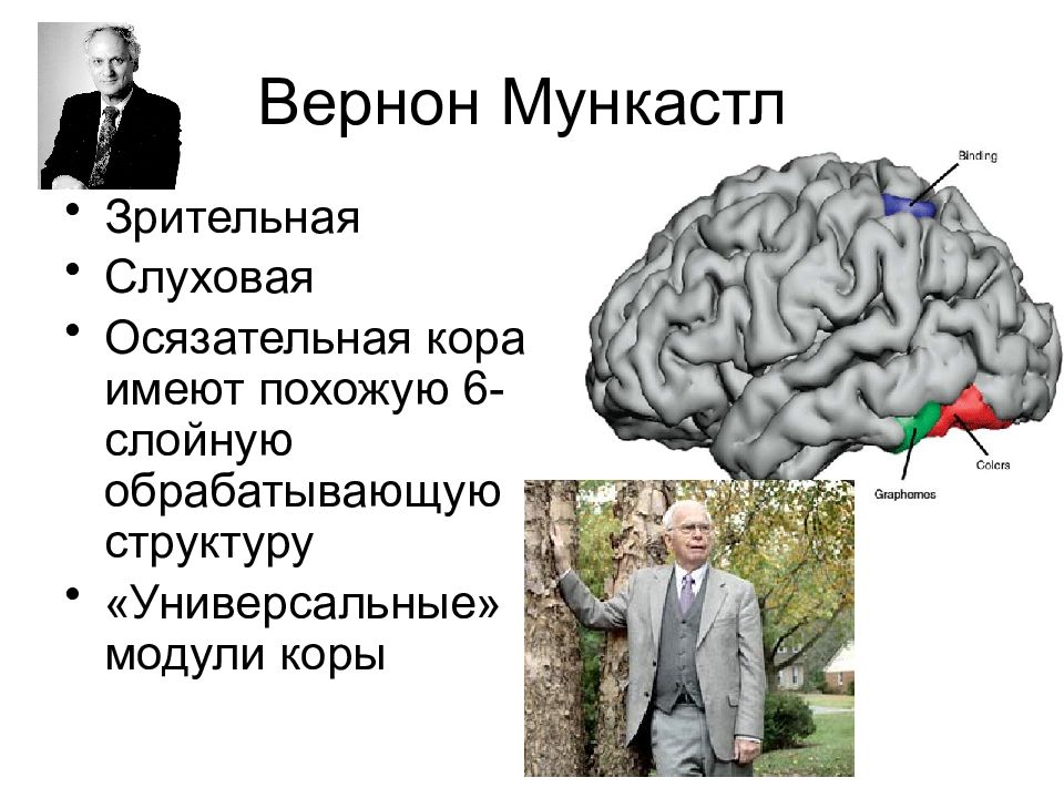 Лекции про мозг. Нейрофизиология высшей нервной деятельности. Нейрофизиология и Высшая нервная деятельность. Основы нейрофизиологии. Лекции по нейрофизиологии.