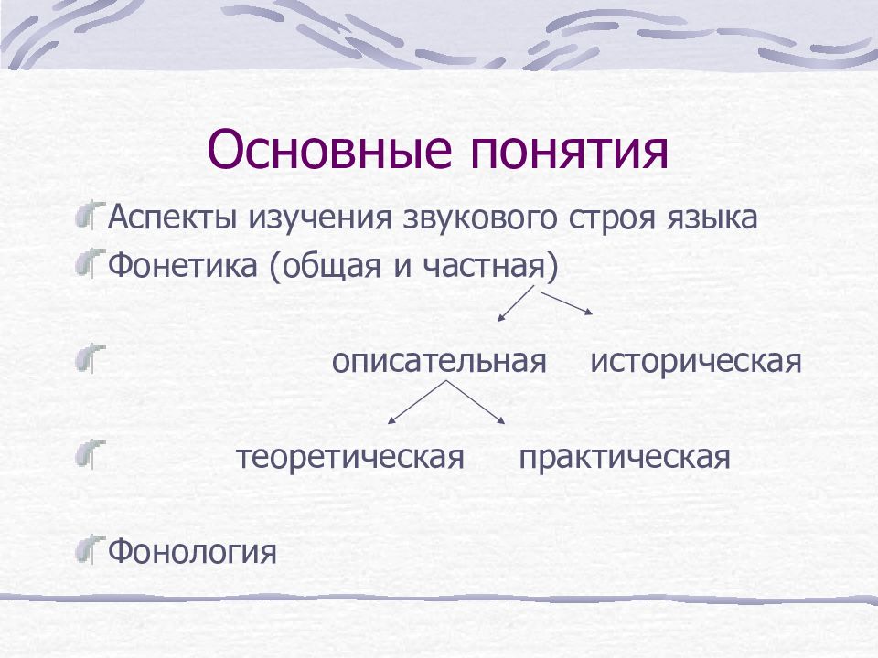 Понятие аспекты. Общая и частная фонетика. Фонетика описательная историческая сопоставительная общая. Сопоставительная фонетика. Аспекты изучения звукового строя языка.