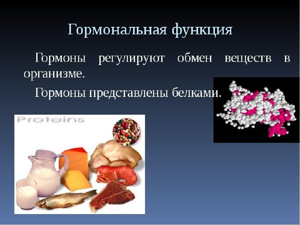 Роль белка в организме. Функции белков гормонов. Гормональная функция белков. Гормональнач функия белков. Гормональная функция белка.