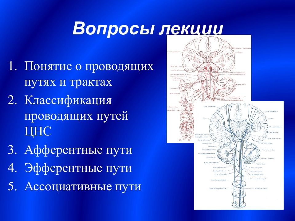 Пути цнс схемы