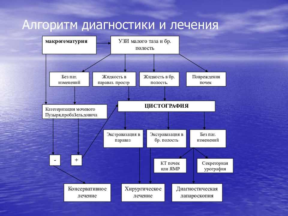 Травмы органов мочевыделительной системы презентация