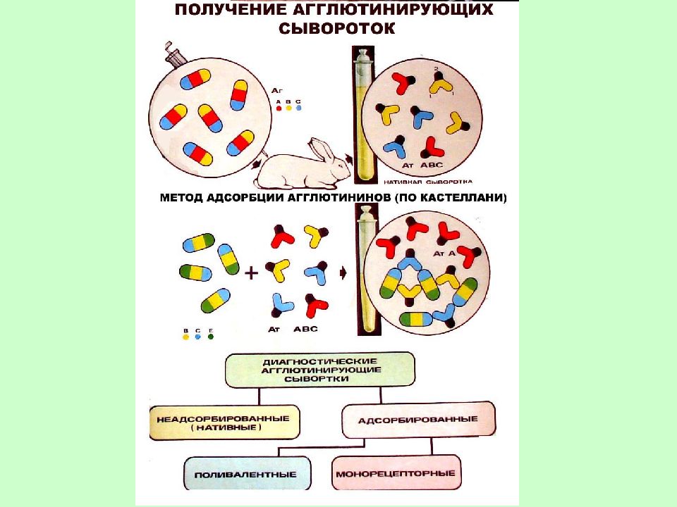 Сыворотки микробиология презентация