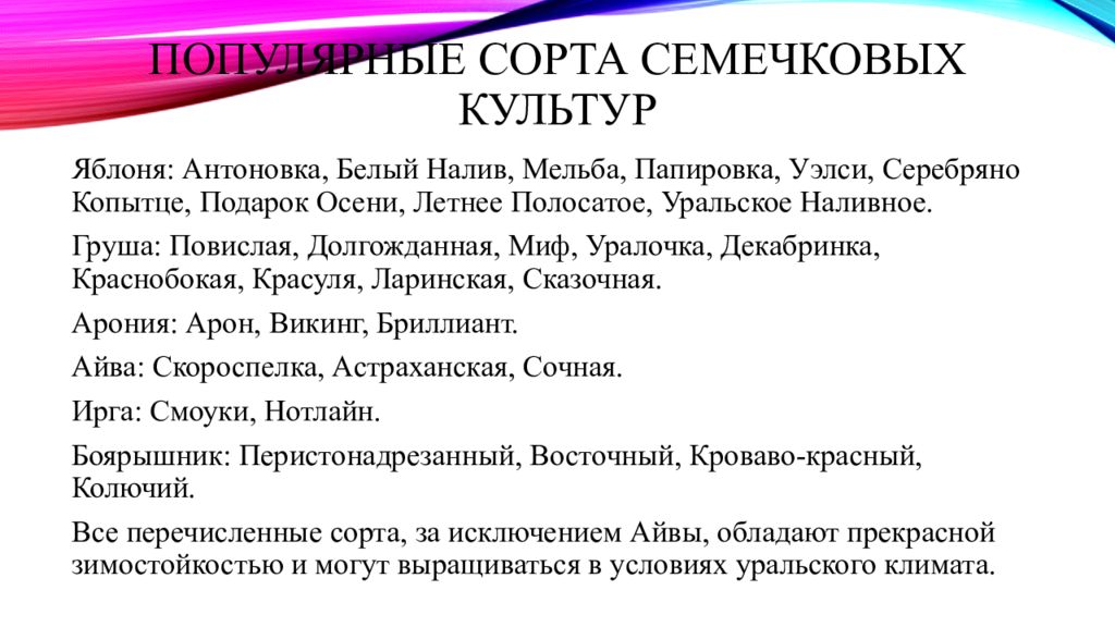 Морфологическая культура