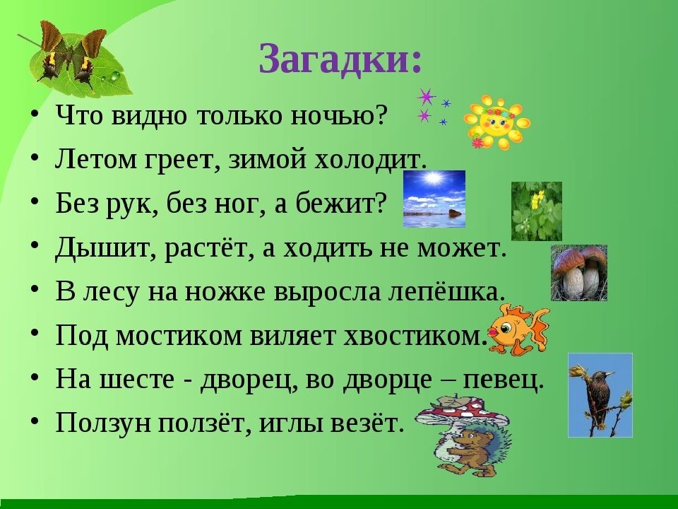 Экологическая викторина для начальных классов с ответами презентация