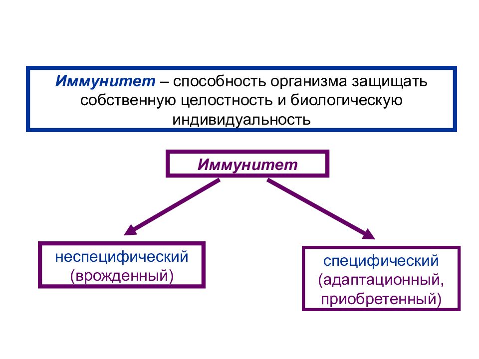 Основа способностей. Биологическая основа развития способностей. Информация о биологической основе развития способностей. Биологическая основа способность это. Генетическая целостность и биологическую индивидуальность.