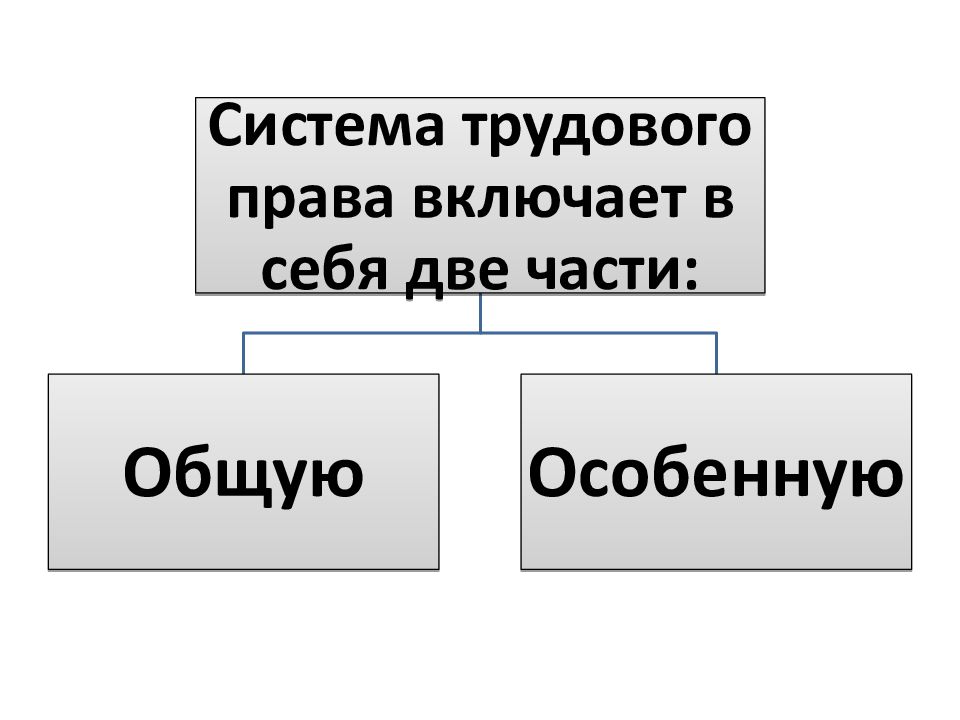 Включи правовой. Система трудового права общая и особенная части. Что включает система трудового права. Структура системы трудового права. Система отрасли трудового права включает.