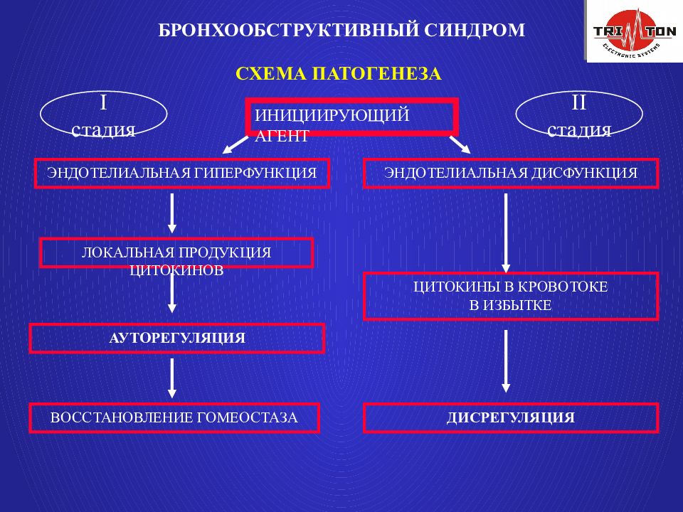 Бронхообструктивный синдром презентация казакша