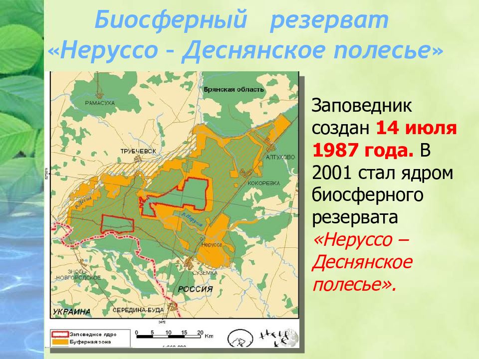 Брянский заповедник брянский лес презентация