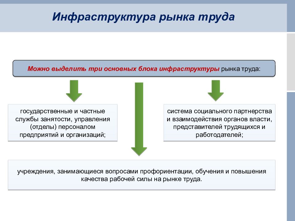 Товар на рынке труда. Инфраструктура рынка труда. Отношения на рынке труда. Инфраструктура трудового рынка. Рынок труда предприятия.