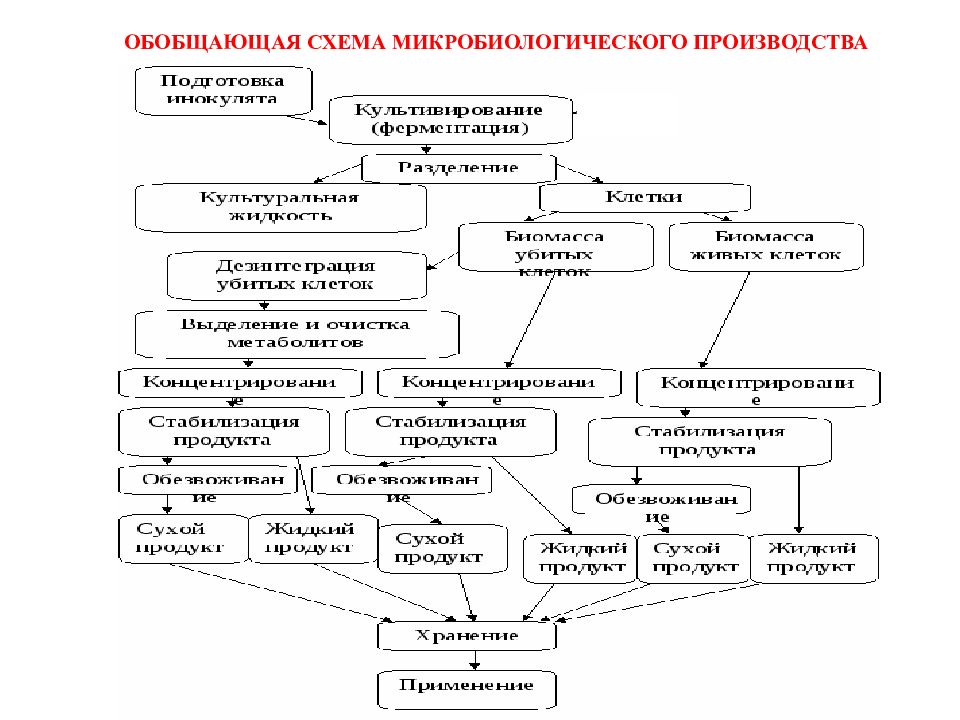 Общая схема биотехнологического производства