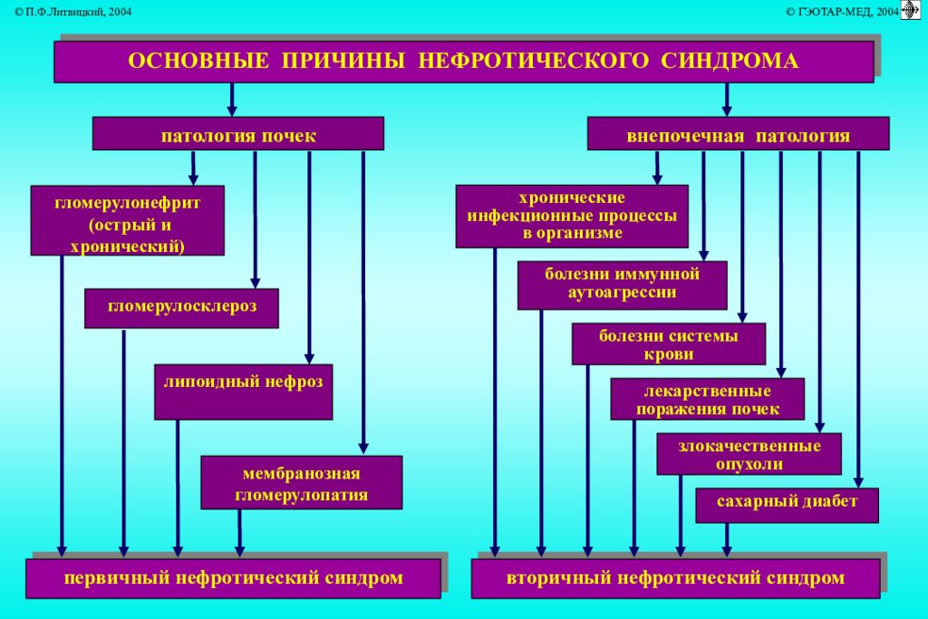 Течение нефротического синдрома. Причины вторичного нефротического синдрома. Нефротический синдром патогенез патофизиология. Причины первичного и вторичного нефротического синдрома. Нефритический (остронефритический) синдром. Нефротический синдром.