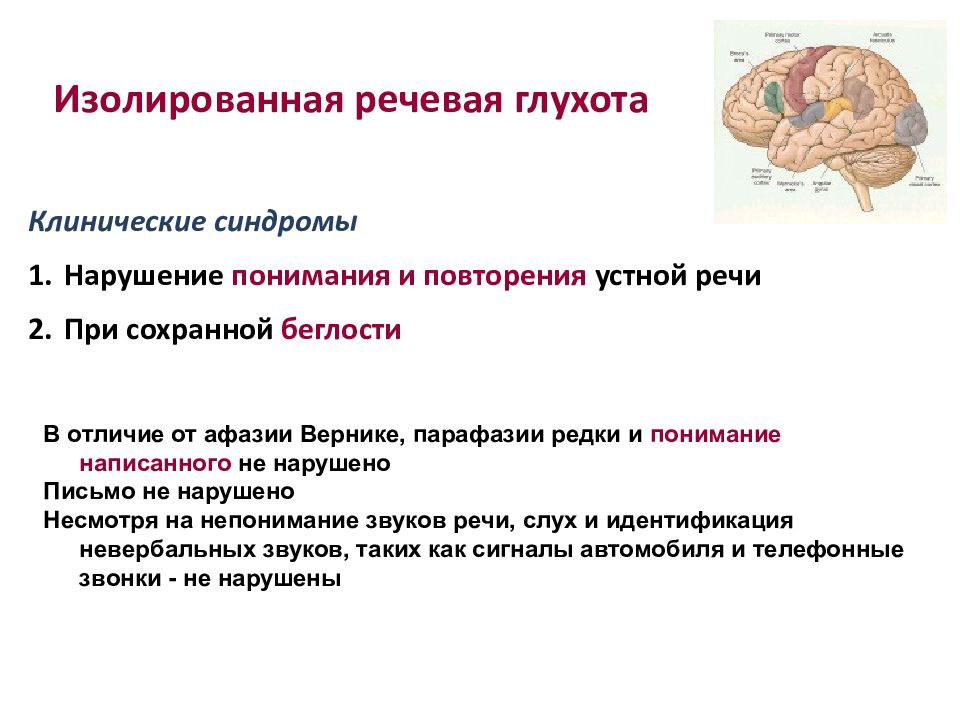 Синдромы речевых расстройств. Синдром нарушения слуха. Лекарство при афазии. Афазия Вернике. Амнестическая афазия.