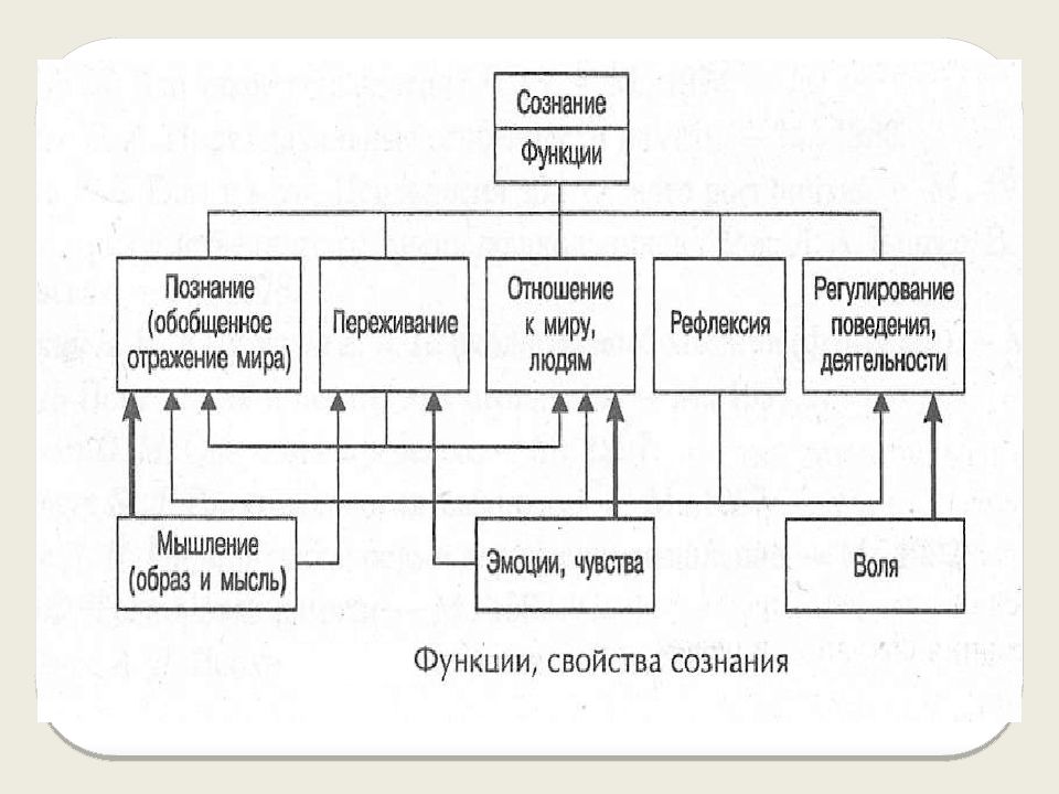 Сознание и язык функции языка. Функции познания. развитие психики и сознания краткий конспект. сознание у животных.