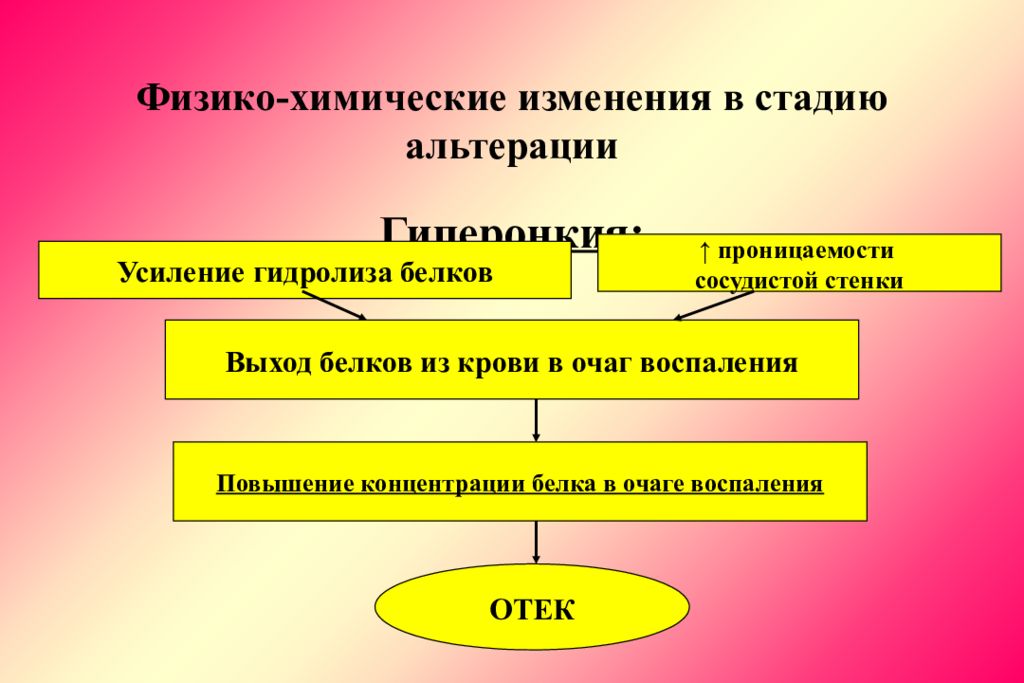 Воспаление презентация по патофизиологии