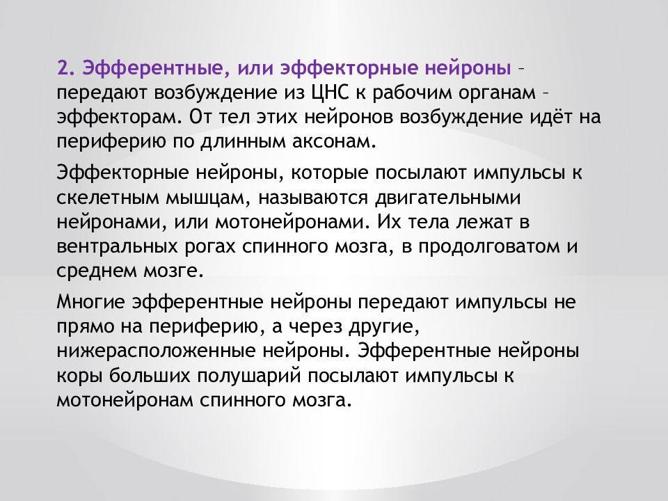 Эфферентные нейроны. Эффекторные Нейроны. Сенсорные и эффекторные Нейроны. Ассоциативные и эффекторные Нейроны. Эфферентные Нейроны это Нейроны.