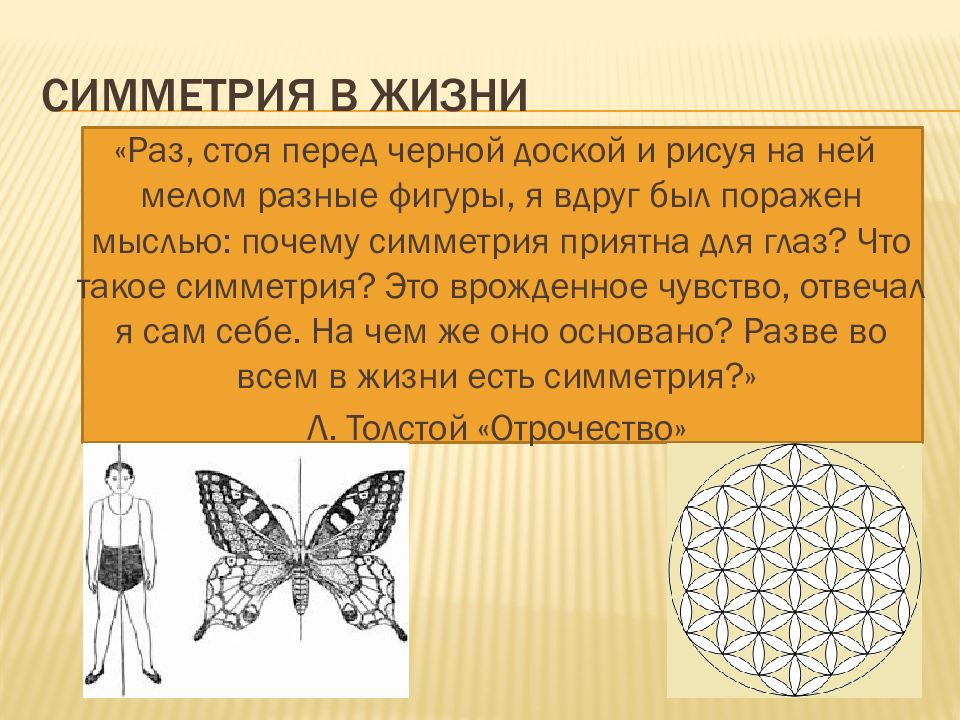 Симметрия в жизни. Симметрия. Презентация на тему симметрия. Роль симметрии в жизни человека.