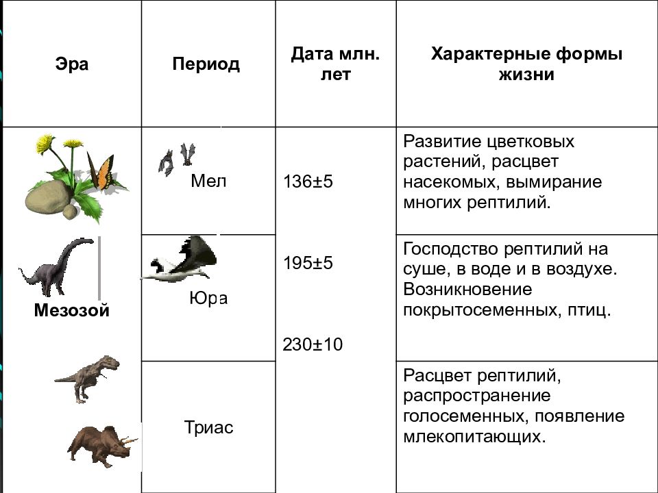 Начальные этапы развития жизни схема