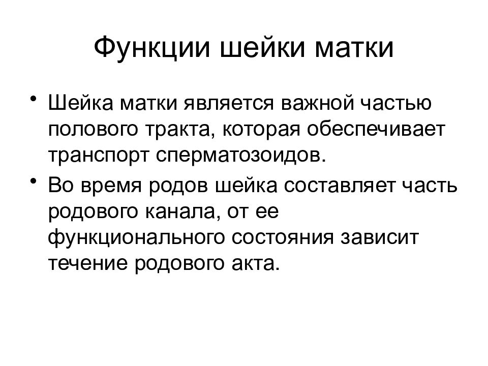 Что значит шейка матки. Физиологическая функция шейки матки. Анатомия шейка матки и функции. Функция шейки матки у женщин. Матка строение и функции.