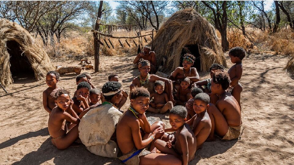 Тема урока: Население Африки 7 класс