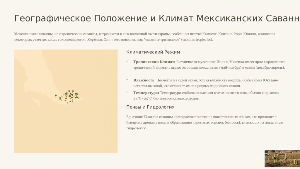 Саванны Индии и Мексики: Сравнительный Анализ Двух Тропических Экосистем Это