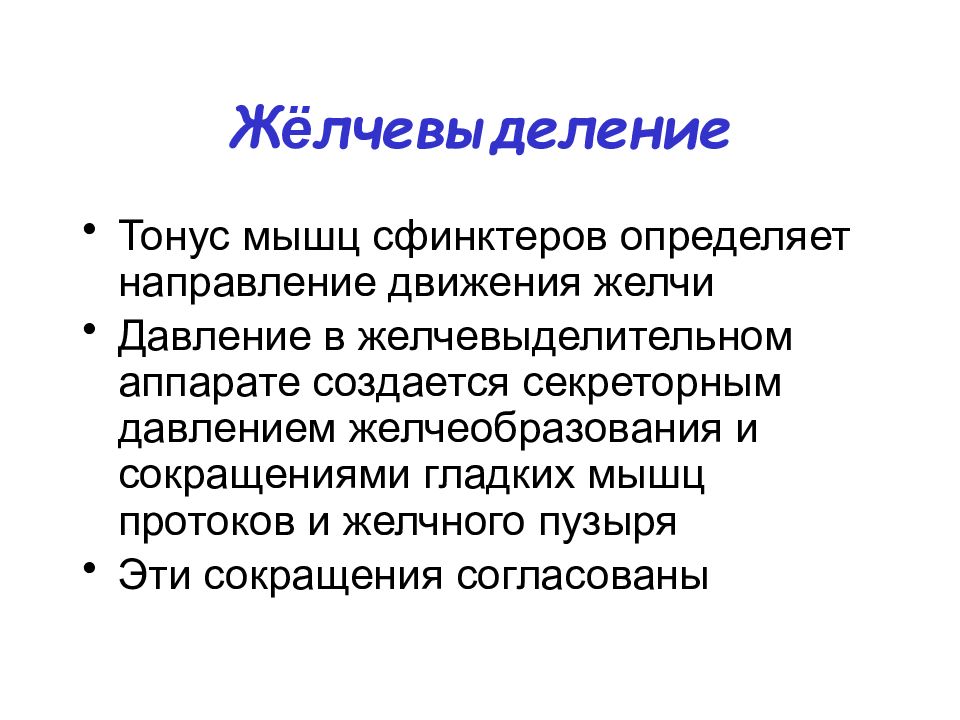 Регулирует мышечный тонус. Регуляция холереза и холекинеза. Желчеобразование. Желчевыделение.