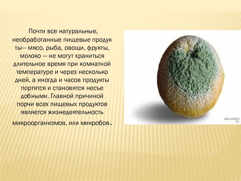 презентация: Тема: «ВИДЫ БАКТЕРИЙ»