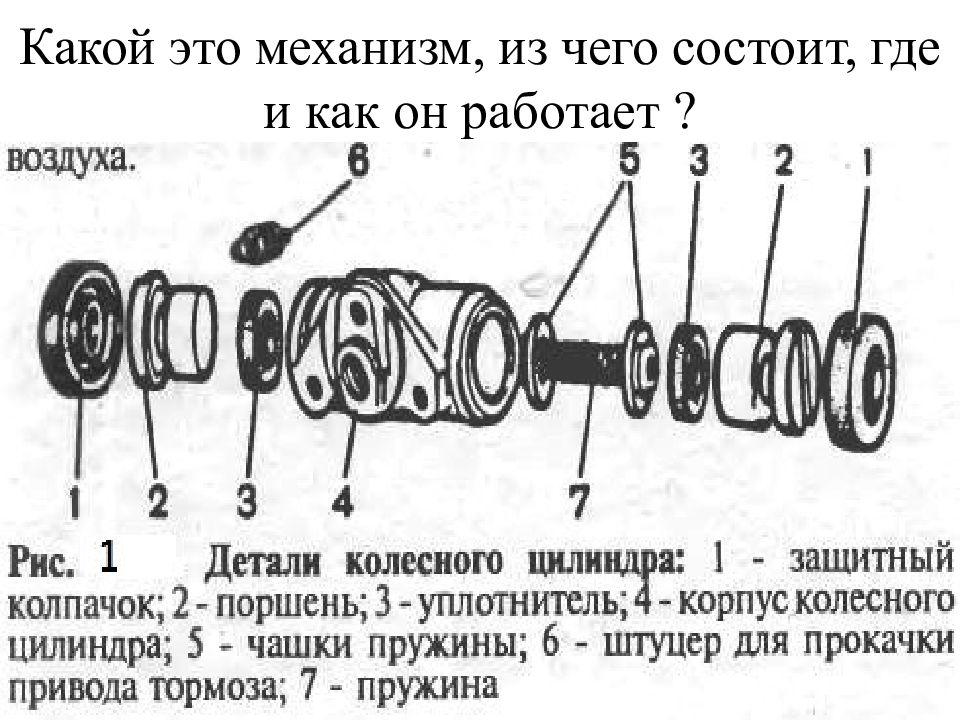 Где состоит. Из чего состоит куда.