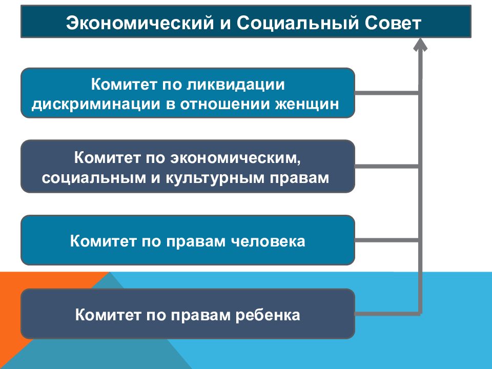 Международная защита прав человека план егэ