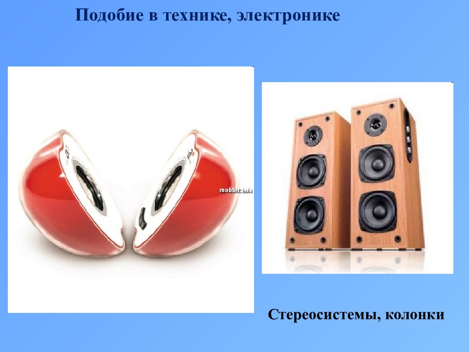 Подобие в жизни человека. Подобие в технике. Подобие в жизни. Преобразование подобия в природе.