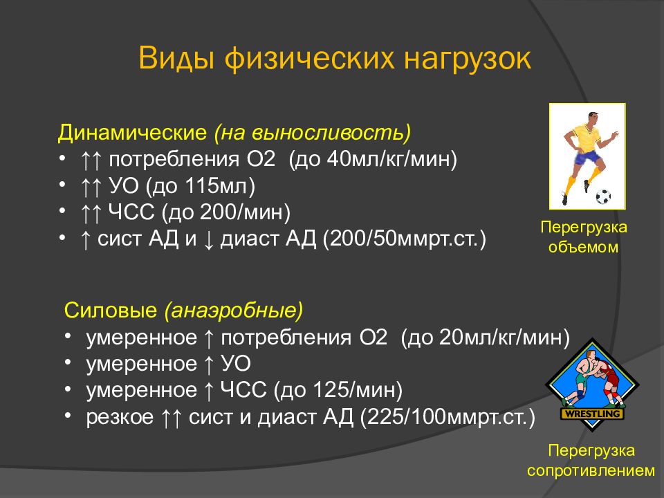 Спортивное сердце презентация