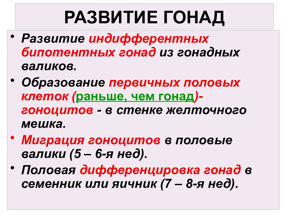 Гонады. Развитие гонад. Источники развития гонад. Стадии развития гонад. Эволюция гонад.