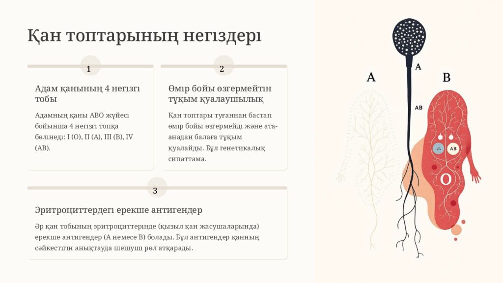 Қан топтары және резус-фактор: Қауіпсіз қан құю және резус-конфликт Бұл