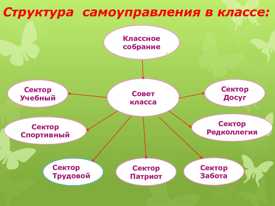 Структура самоуправления в классе схема