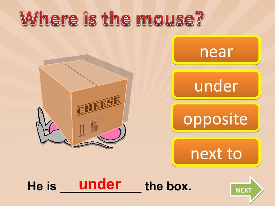 In on under in front of behind next to between задание. Where is the mouse. предлоги в английском языке in on under behind next to in front of. предлоги места opposite, between, behind, in front of, next to. Under opposite.