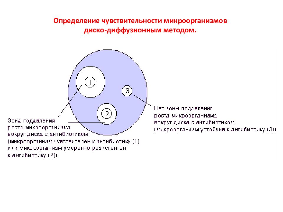 Методы определения чувствительности микроорганизмов к антибактериальным препаратам схема